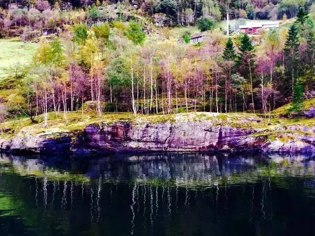 34.webp.jpg 小草影院