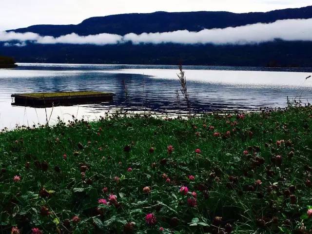 34.webp.jpg 小草影院