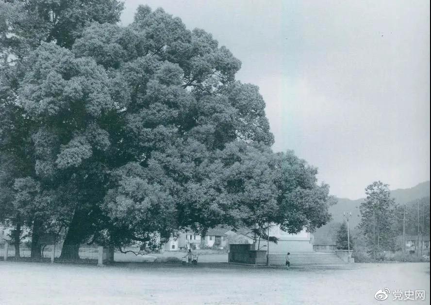 微信图片_20211011160220.jpg 小草影院